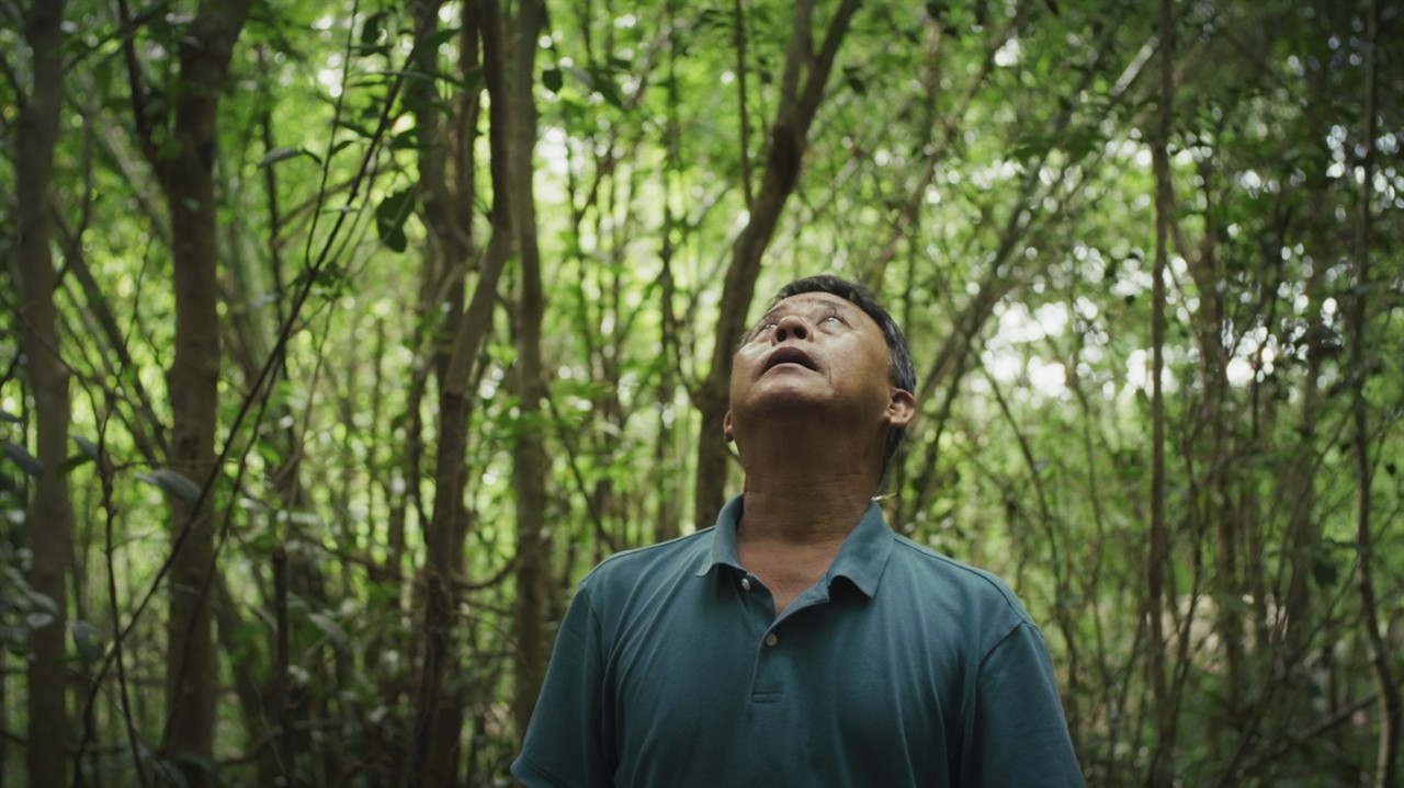 A man looking at the sky, surrounded by trees
